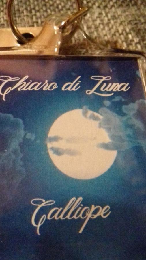 Ferienwohnung Chiaro Di Luna Santa Domenica  Zimmer foto